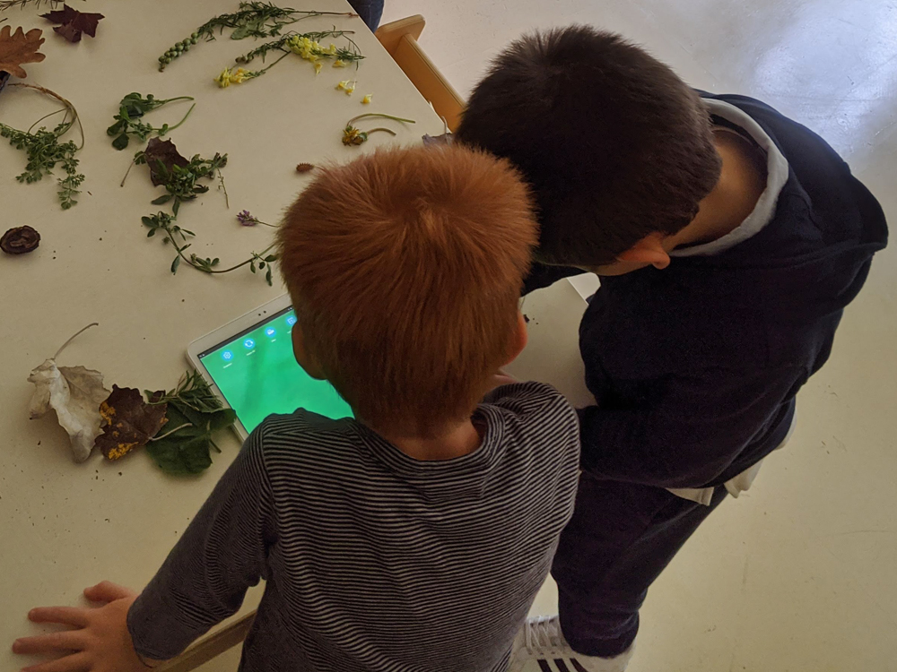 Kindergartenkinder untersuchen Pflanzen mit Tablets